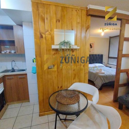 Arriendo Departamento Amoblado - 1d 1b Metro Sta Lucia - 3