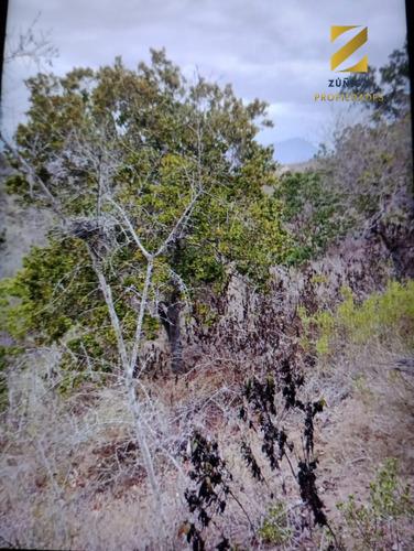 Parcela Urbanizada En Condominio, Quilimarí - 11