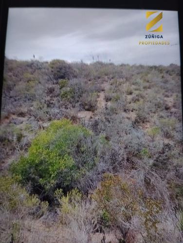 Parcela Urbanizada En Condominio, Quilimarí - 14