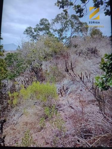 Parcela Urbanizada En Condominio, Quilimarí - 8